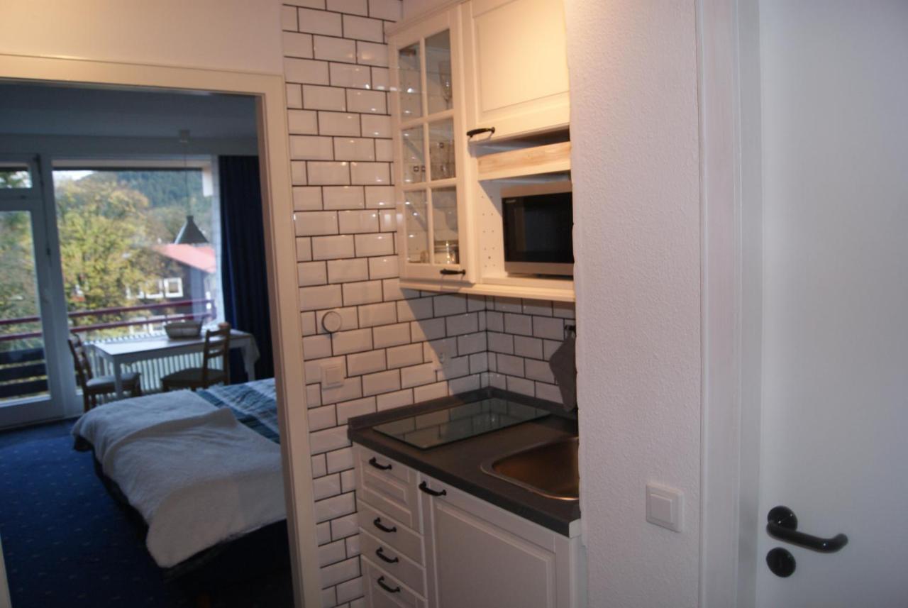 Bergblick471 Apartment Goslar Bagian luar foto